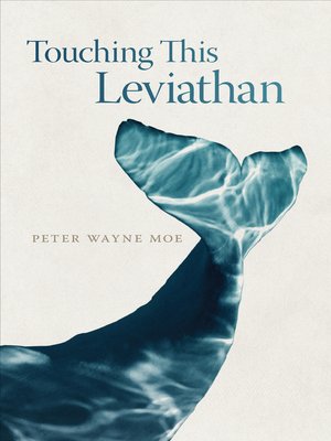 cover image of Touching This Leviathan